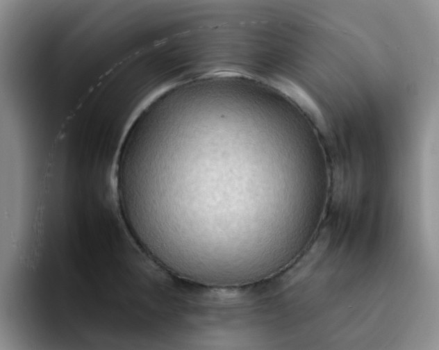 X0000092051190200709262004