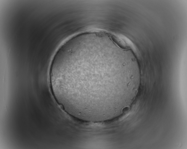 X0000092051191200709262004