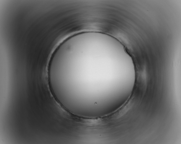 X0000092051192200709262004