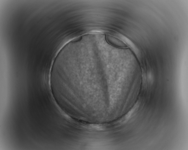 X0000092051194200709262004