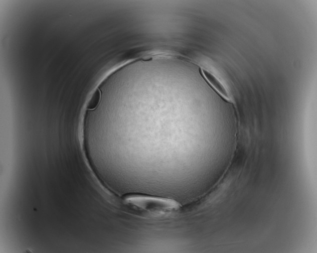 X0000092051195200709262004