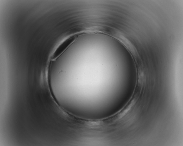 X0000092051196200709262004