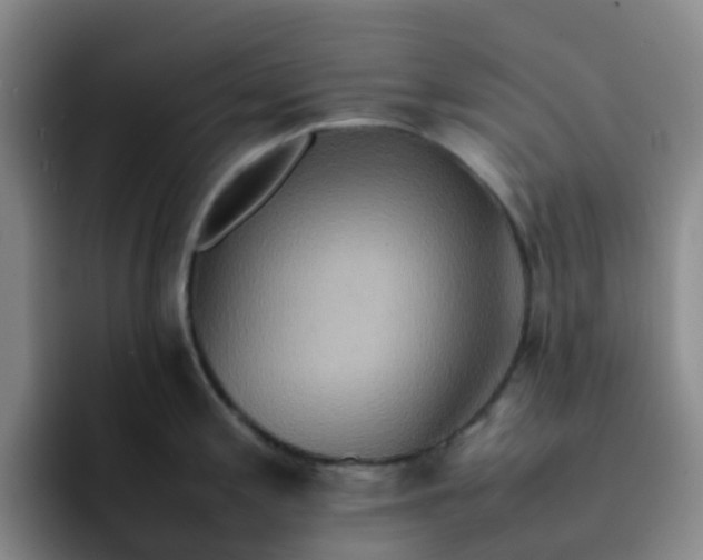 X0000092051197200709262004