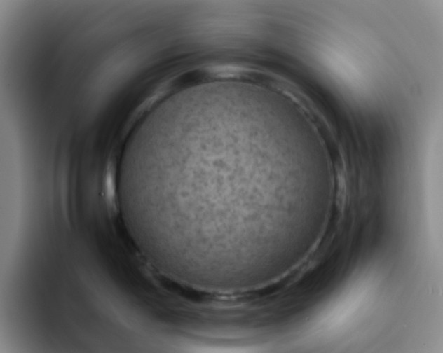 X0000092051198200709262004