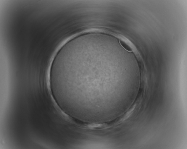 X0000092051199200709262004