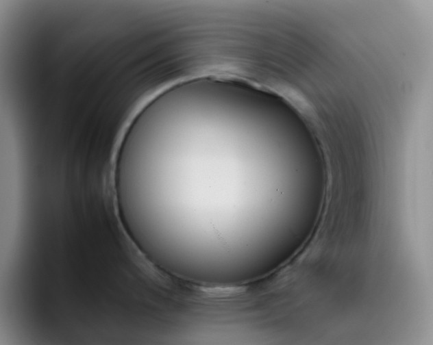 X0000092051200200709262004