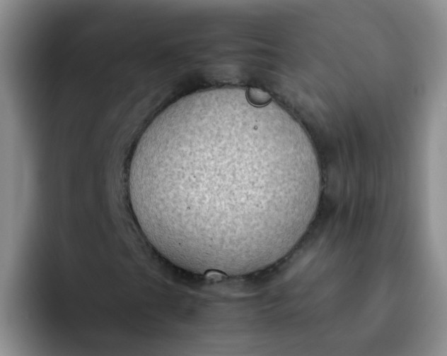 X0000092051201200709262003