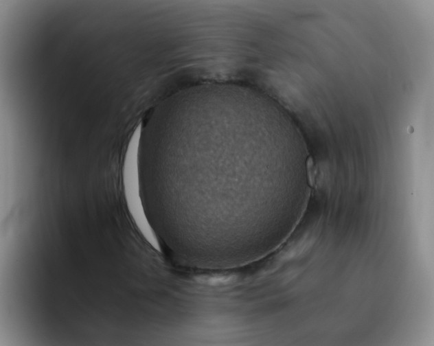 X0000092051202200709262003