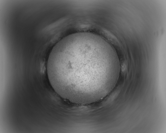 X0000092051204200709262003