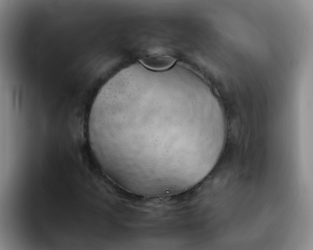 X0000092051205200709262003