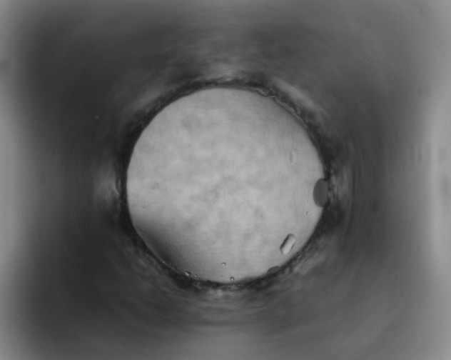 X0000092051206200709262003