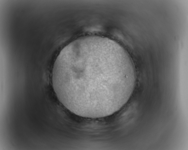 X0000092051207200709262003