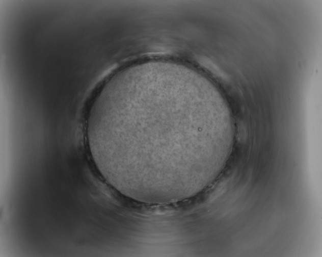 X0000092051208200709262003