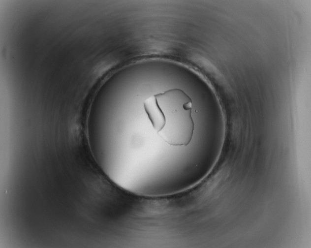 X0000092051210200709262003