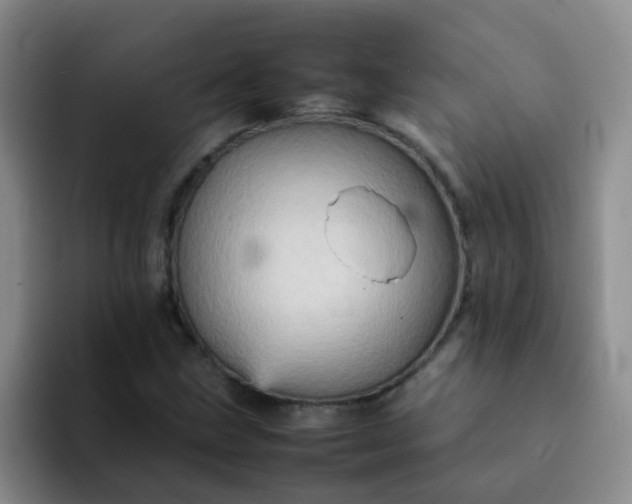 X0000092051211200709262003