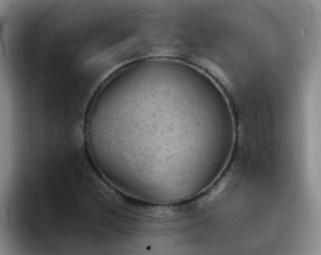 X0000092051212200709262003