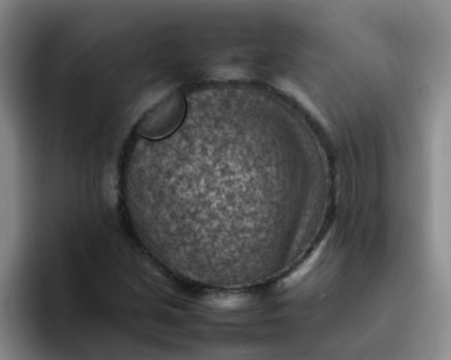 X0000092051213200709262003