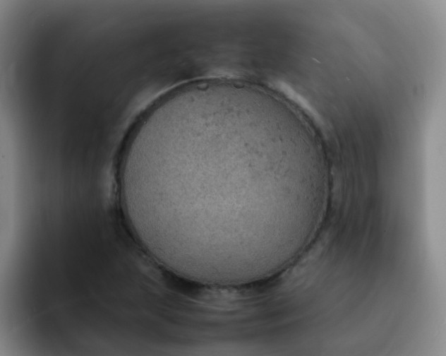 X0000092051215200709262003