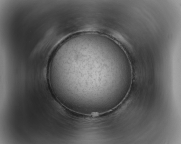 X0000092051216200709262003