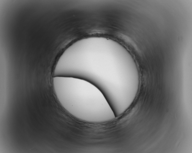 X0000092051217200709262003