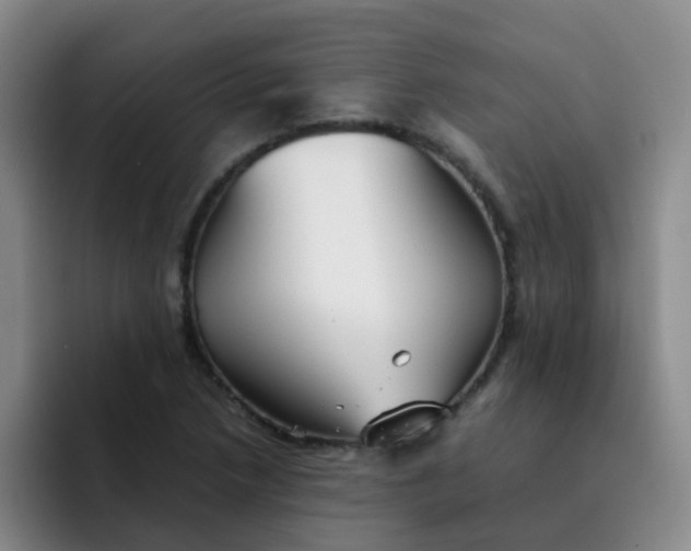 X0000092051218200709262003