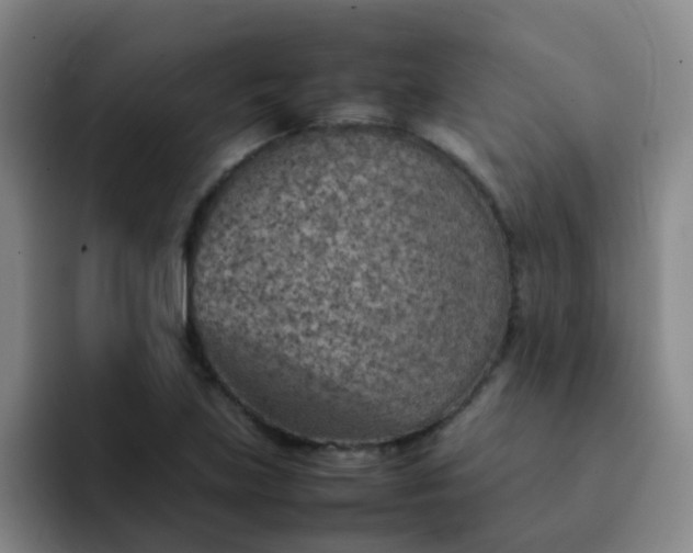 X0000092051219200709262003