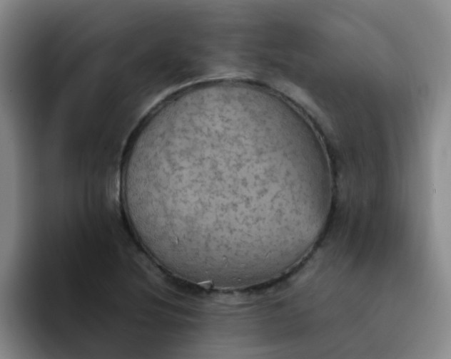 X0000092051220200709262003