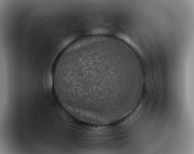 X0000092051221200709262003