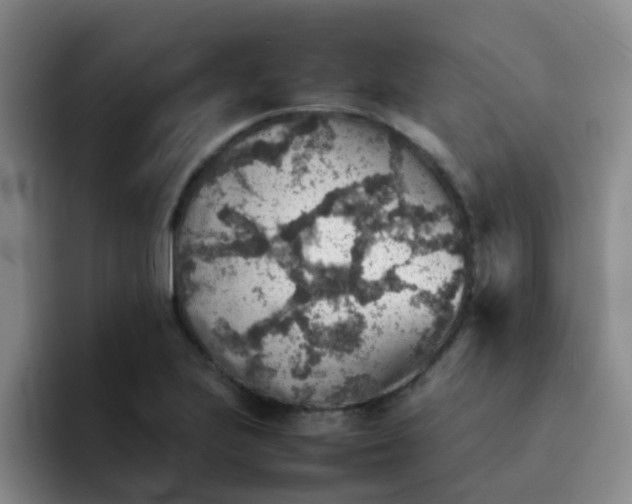 X0000092051223200709262003