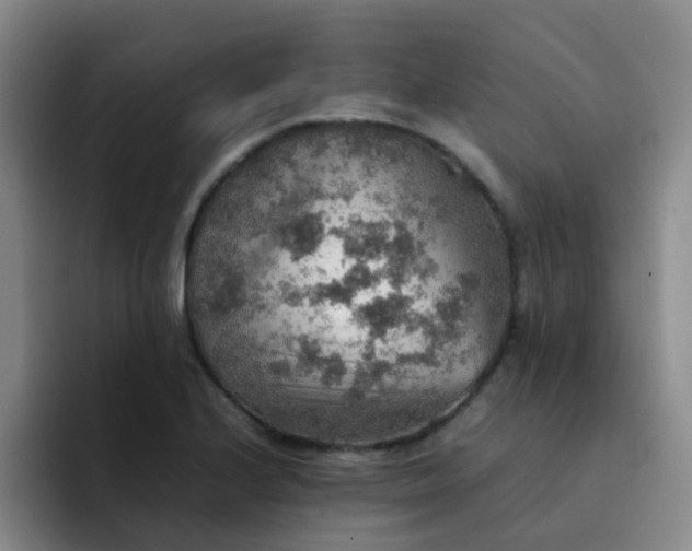 X0000092051224200709262003