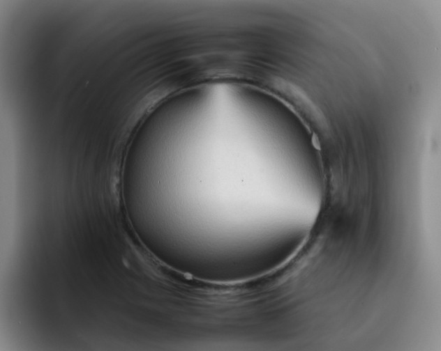 X0000092051225200709262003