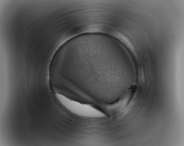 X0000092051226200709262003