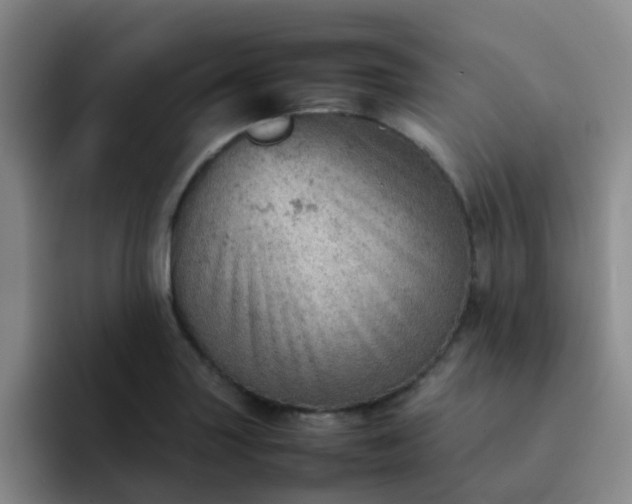 X0000092051227200709262003