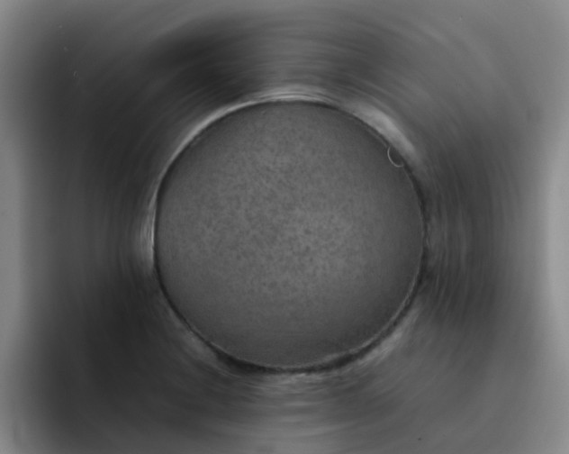 X0000092051228200709262003