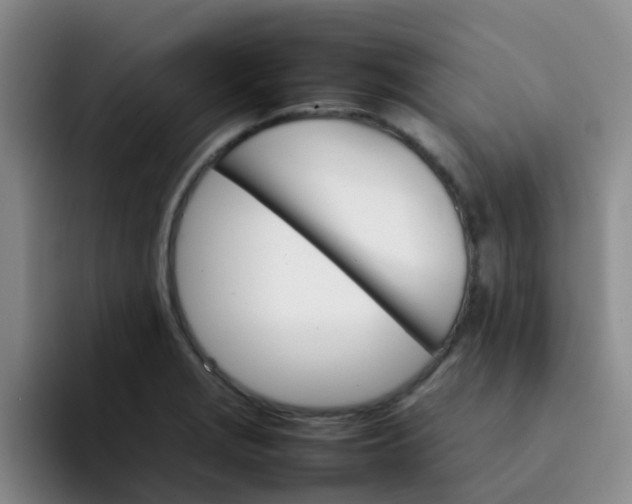 X0000092051229200709262003