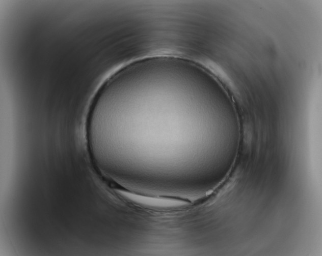 X0000092051230200709262003