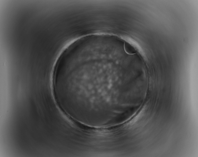 X0000092051231200709262003