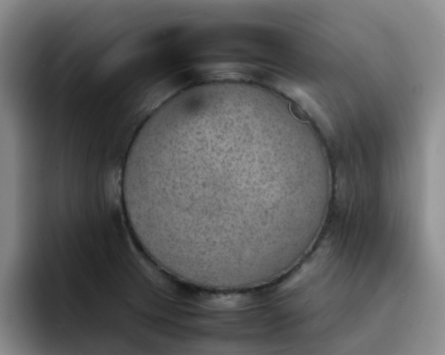 X0000092051233200709262003