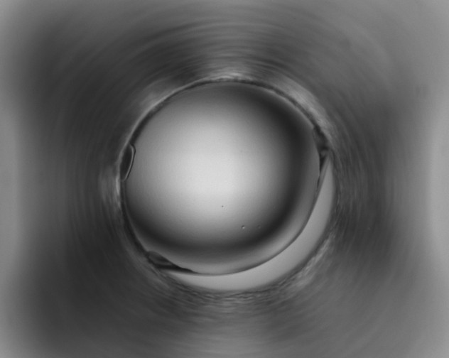 X0000092051234200709262003