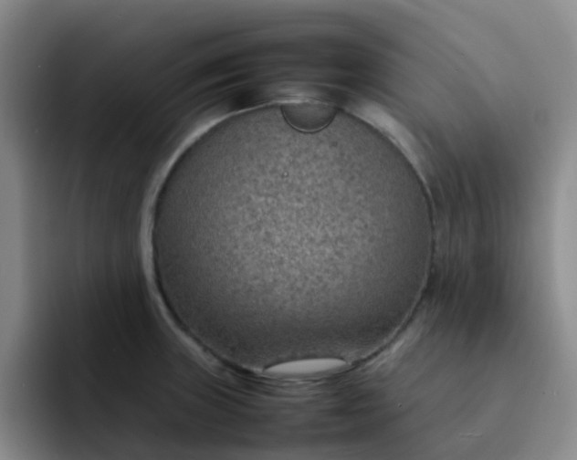 X0000092051235200709262003