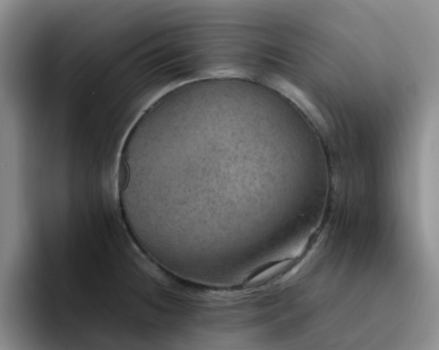 X0000092051236200709262003