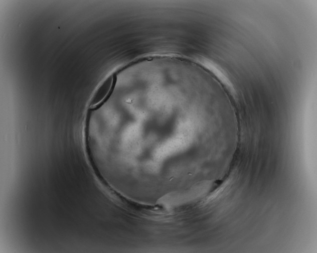 X0000092051237200709262003