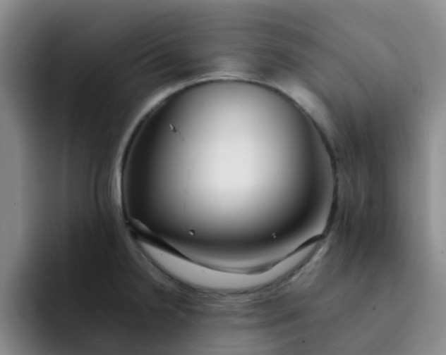 X0000092051238200709262003