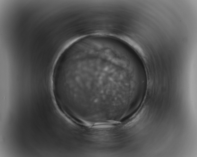 X0000092051239200709262003