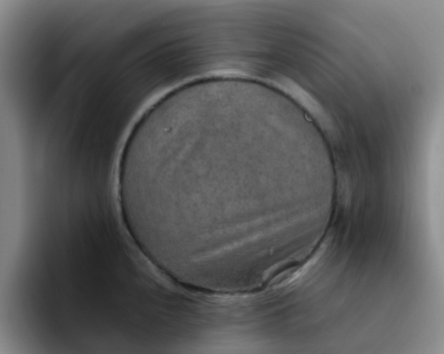 X0000092051240200709262003