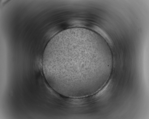 X0000092051241200709262003