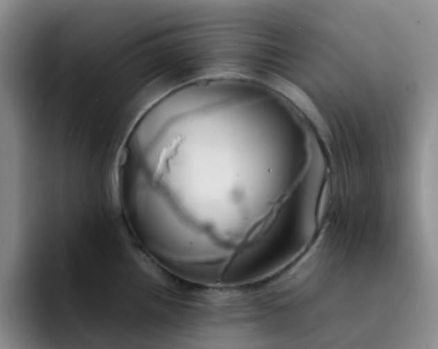 X0000092051242200709262003