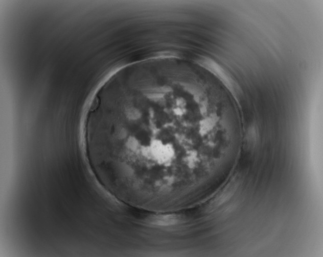 X0000092051243200709262003