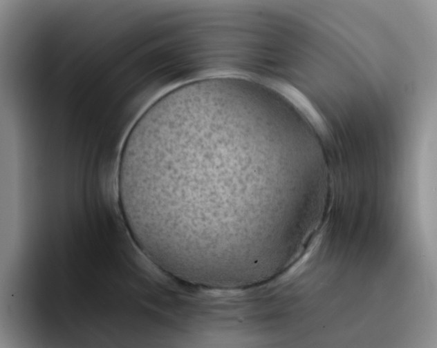 X0000092051244200709262003