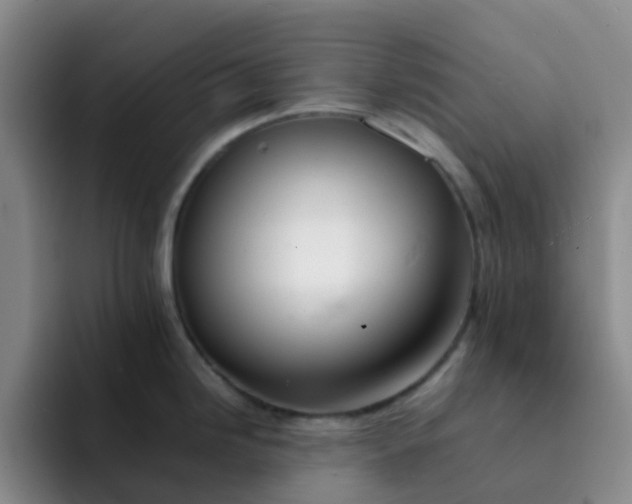 X0000092051246200709262003